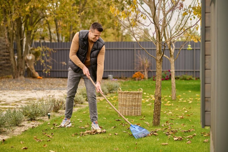 Praktyczne wskazówki dotyczące pielęgnacji ogrodu jesienią