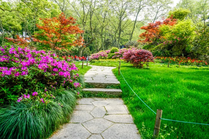 Projektowanie ogrodu z myślą o równowadze ekologicznej – dobór naturalnych roślin i materiałów